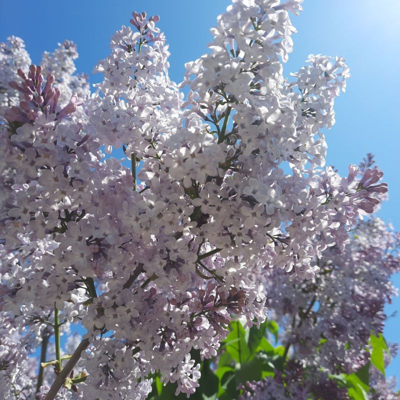 ������������ �������� �������� ������ ���� ������ �����