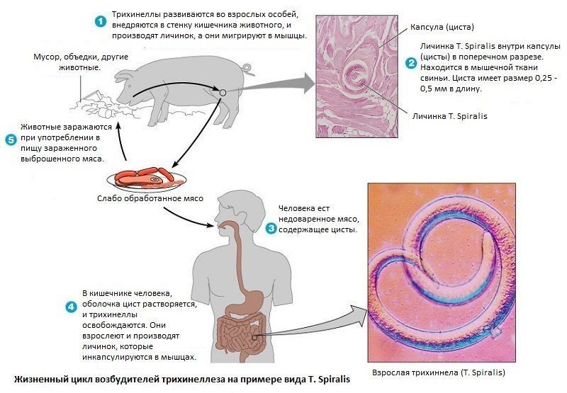 ��������� �������������� �����������