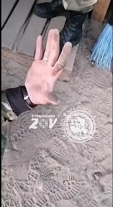 ���������� �����������, �����