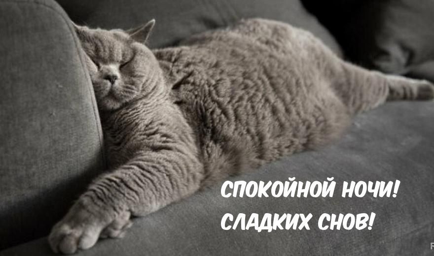 ������ ����. ������ �� ���������� ����� ��� ������ � ������� ����� ���������. ��� �������. ����������� �� +8 ����� �� +21 ����