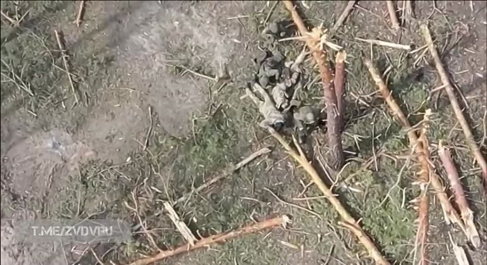 3 ��� ��� 79-����� ��������� ���� �� ����� ������������� � ������������ ���������� ���������� ��� ���������� ��������� 98-� ����������� ��������-��������� �������� �������������� ������ �������� II ������� ������� ���