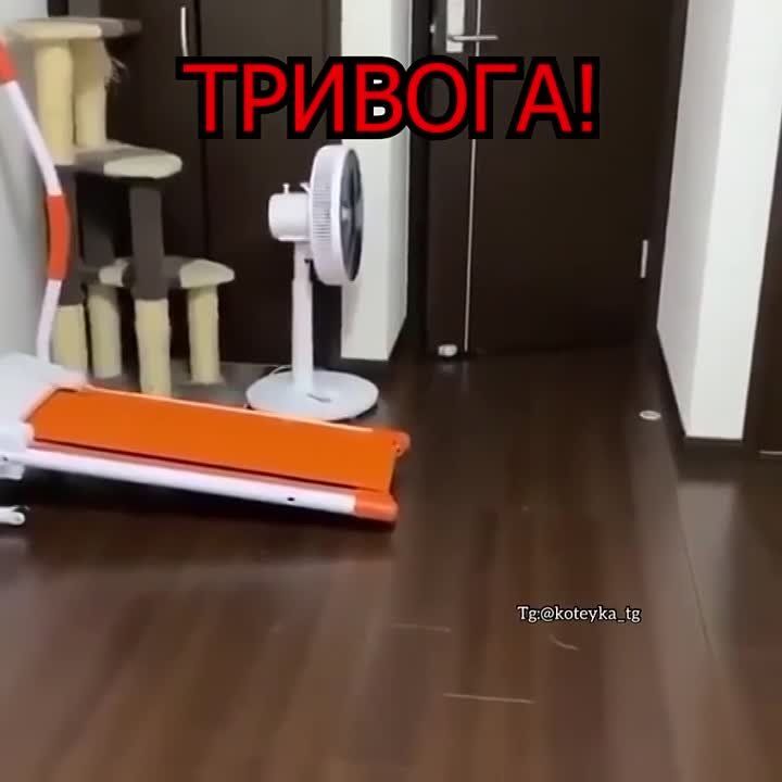 ����� ��������� �����������������, ��� ����� �������...