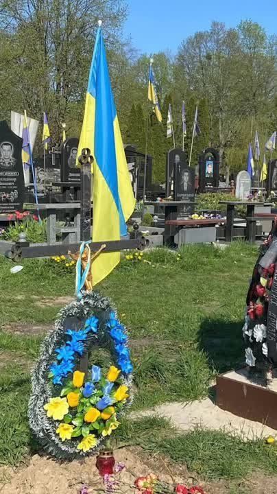 ���� �������� ������ ����� ���������