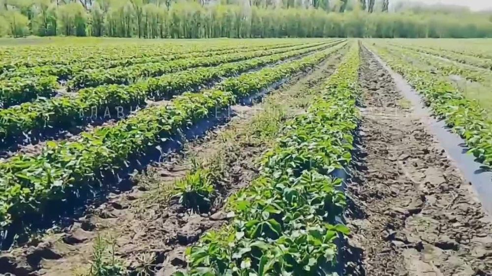 ���� ������� �������� �� �������� ��� �� ����� ���������� �������