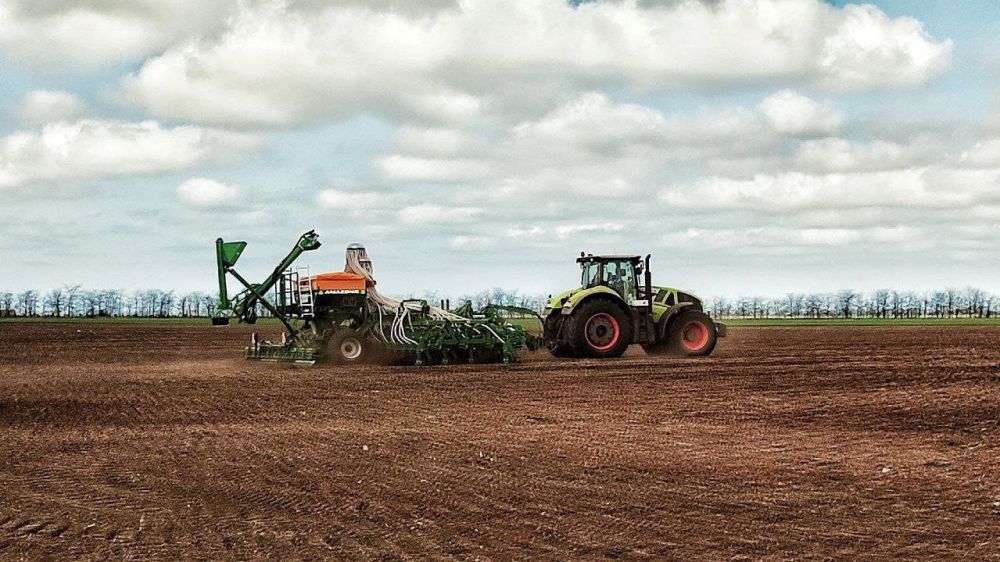 ���� �������: � ������������ ������� �� �������� ������� �����������