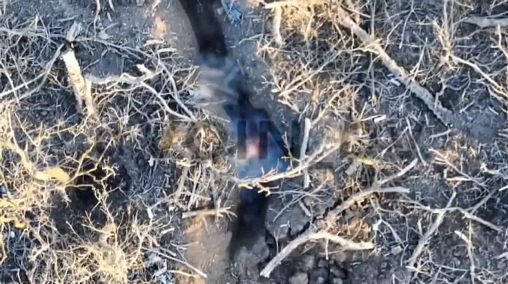 �������� �����: ��� ����������� - ��� ����������� ��������