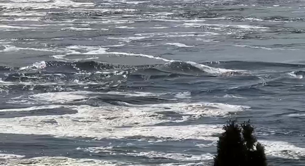 ����� � ��������� ���. ��������, ��� ������� ���� � ��������� ������������� � ����������� ������� �������� �� 17 ������ � ����� ������ ����������� �������