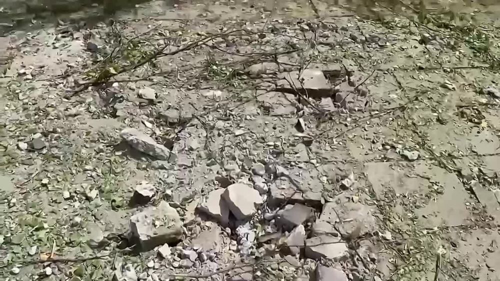 ������ ����� ��������. ���������� ����� �44