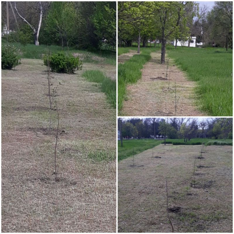 ������������� ����� ���� ������ � ���������� �� ������������