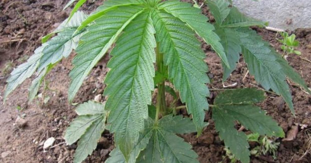 � �������� ����������� ���������� �������� ����������� ��������