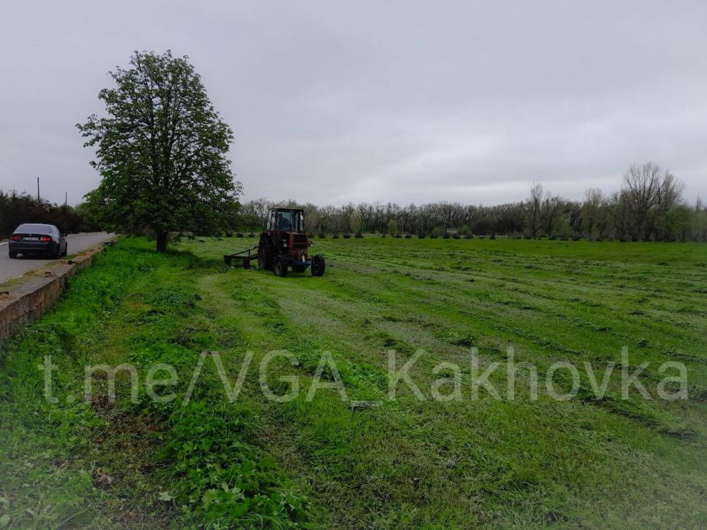 ���������� ������������ ����������� �����������