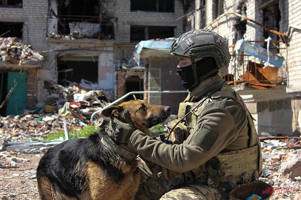 �������� � ���������. ����� ��� ������� � �������, ���������� ������ ������� � ����� �� ����� � � ������������ ������