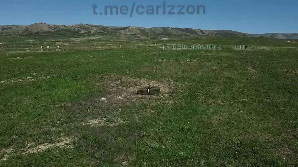 ����������� ����� ���������� Z �������: