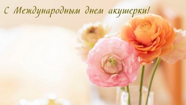 5 ��� � ������������� ���� ��������