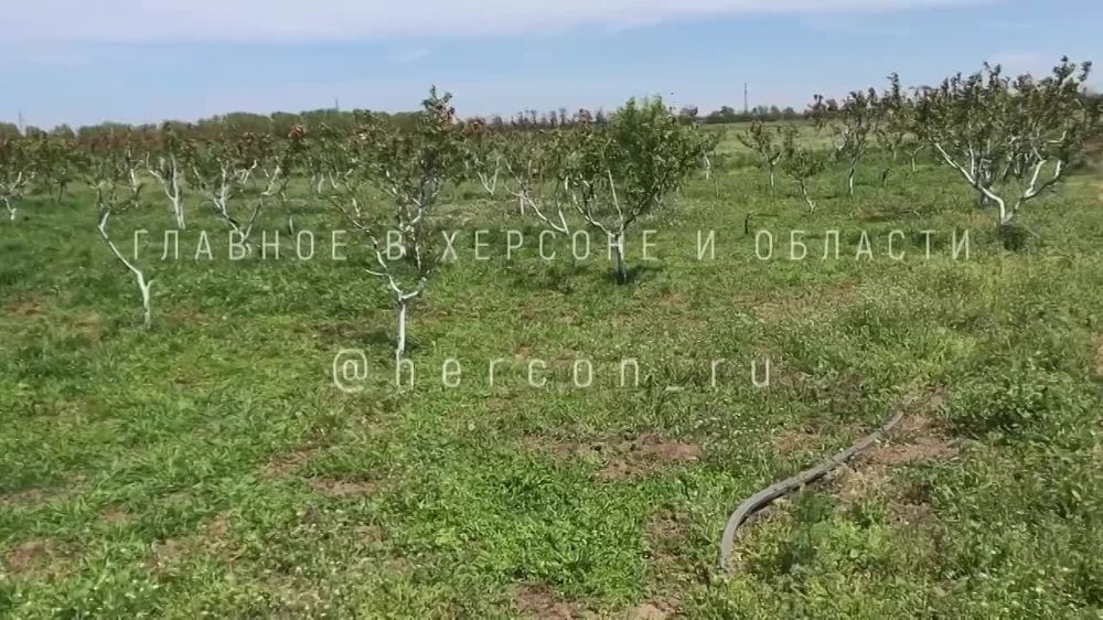 �� ���������� ��� ����� ������� ����� ��������