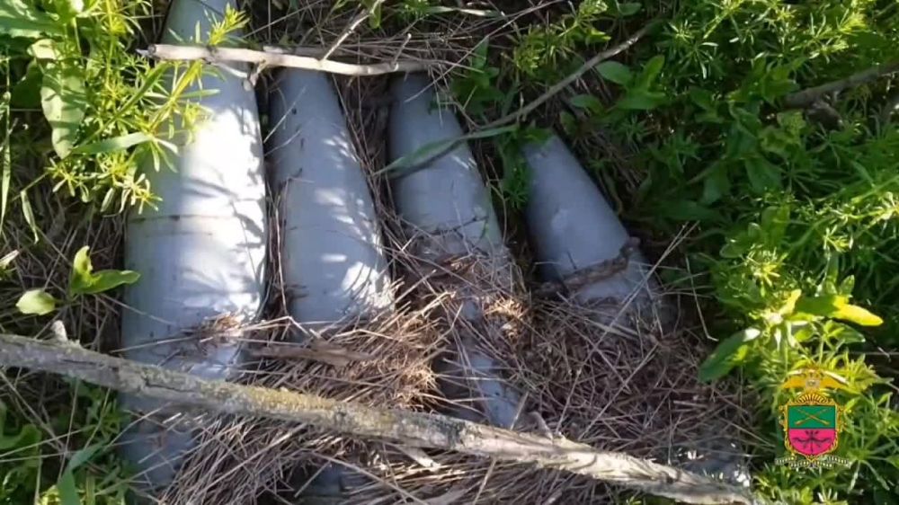 �������� �����: ����� �����, ������ �� ���������