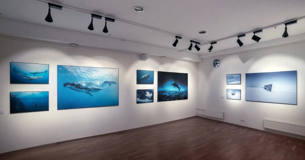 � ���������� ������ � ���� ������� ������� ��� �������� ������ �������� ����� ����� �����