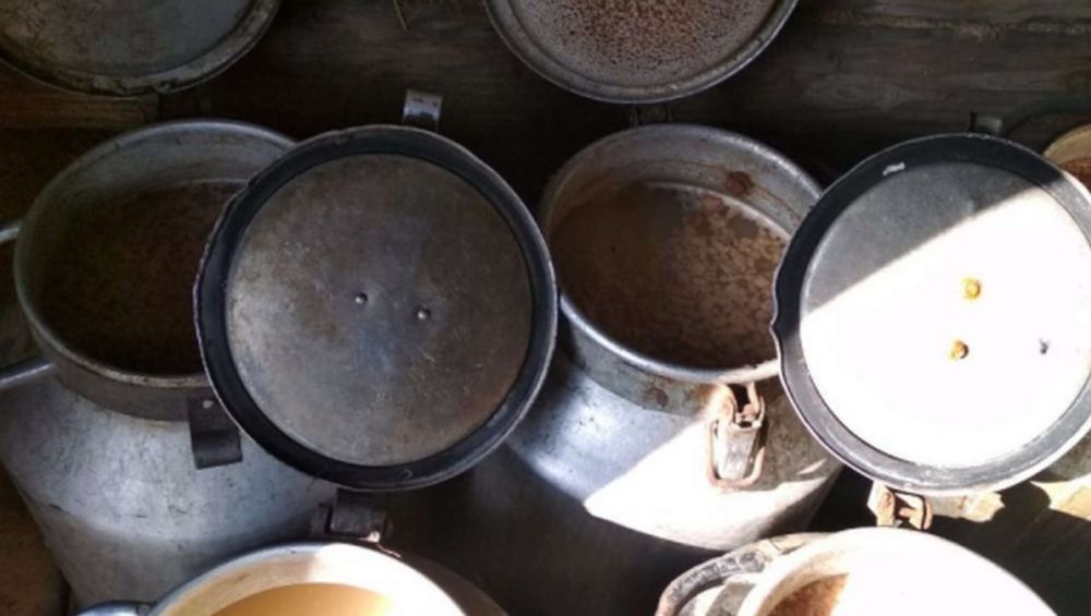 �� ���� ����������� � ���������� ������� ��������������� 3 ������ �������� ��������