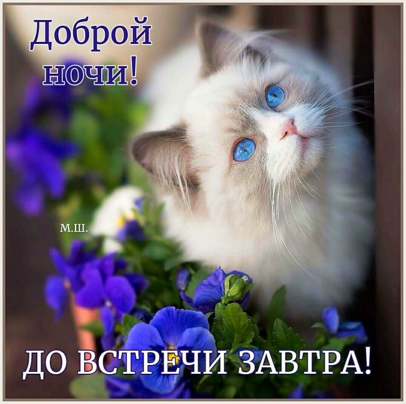 ������, ��������� � ���� �� ������