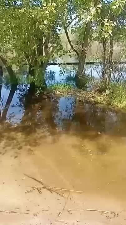 ����������� ���� � ����� ������� ���� � �������-�����������, �� �������������� ������� ������ ���������� ������������� (�������� ��������)