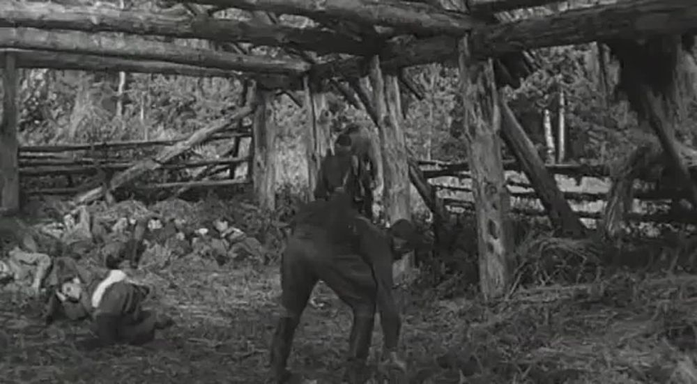 ��� ������� ������ �����������!