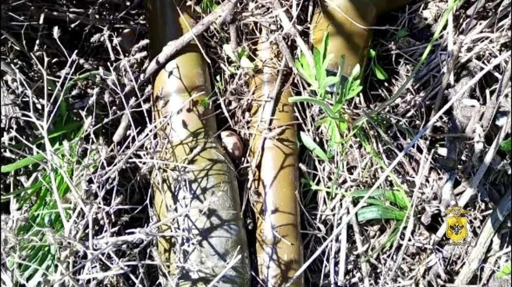 � ���������� �� ����������� � ����������� ��������� ������ ���������� � ���������� ������ � �������