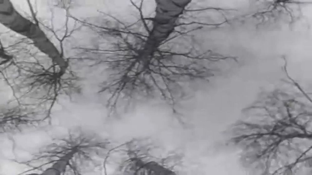 ��� ������� ������ �����������!