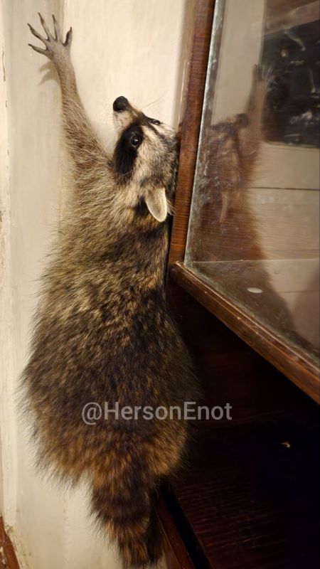 ���� �� �������: ������! � ������� �������� ���� ������� � ��������, ������� ������ �������� �����