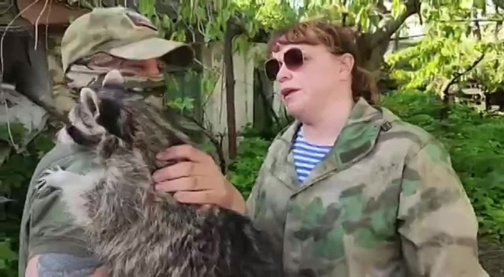 ���� �� �������: ��������� �� ��������� ������� ������� �� "������� �����"