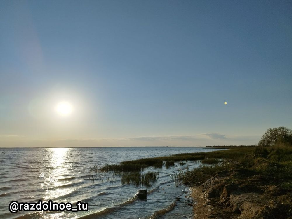 ������, ����! ����������!