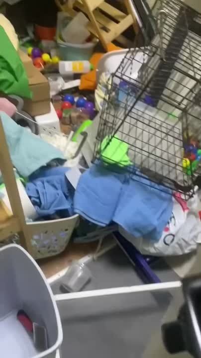 ����� �������� ���� � ���������