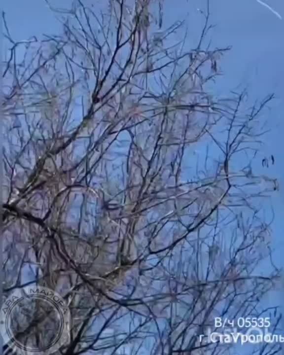 ����� ������ ��������� ��� ���� �� ���������� �����������