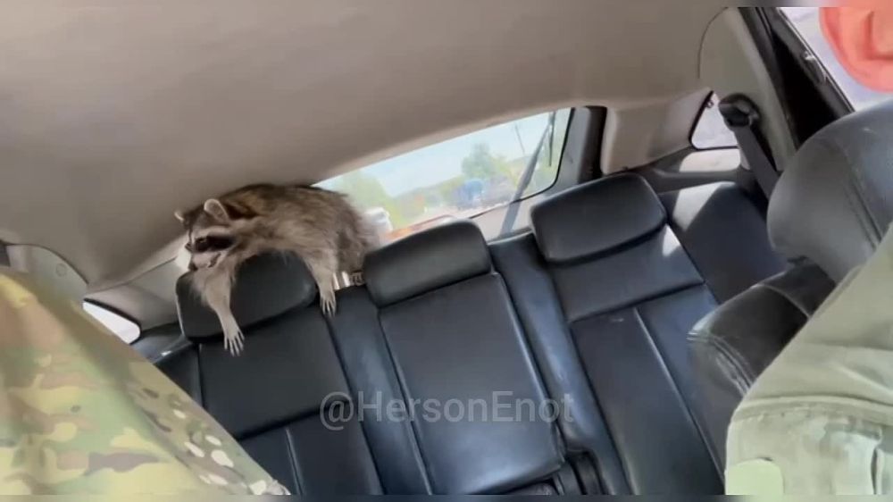 ���� �� �������: �� ����������� ���������� ���������, �� ���� �������