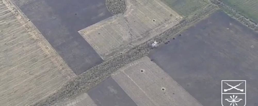 �������� �����: ������� ������������ ������� ������� ���������� �������� ��������