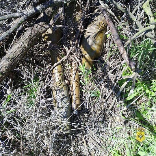 � �������� ���������� ��� ���������� ����������, ����������� ���