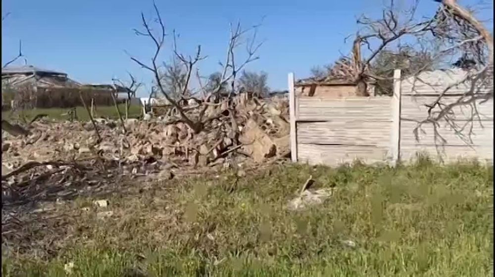 5 ������ ���� ������� �� ���������� �������� � �������� ���������� �������