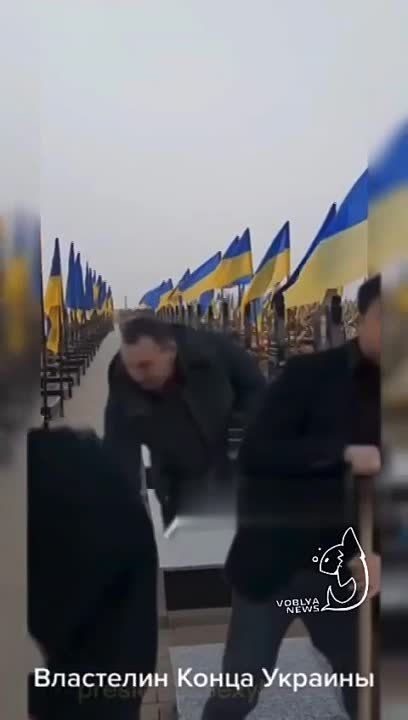 ������ �������� �� ����������