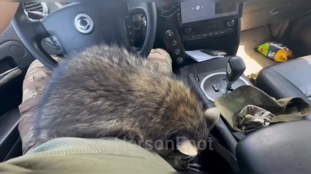 ���� �� �������: �������� ���, ������!. �� ��� � ����� �������� �������� ���������� � ���� ���������� �����, � ������� ������� �� ���� �������. �� ��������