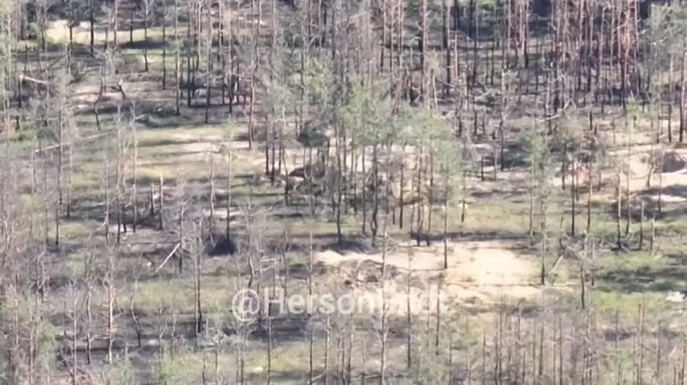 ���� �� �������: ������ ������ ��������� ���� �� ���������� �����������