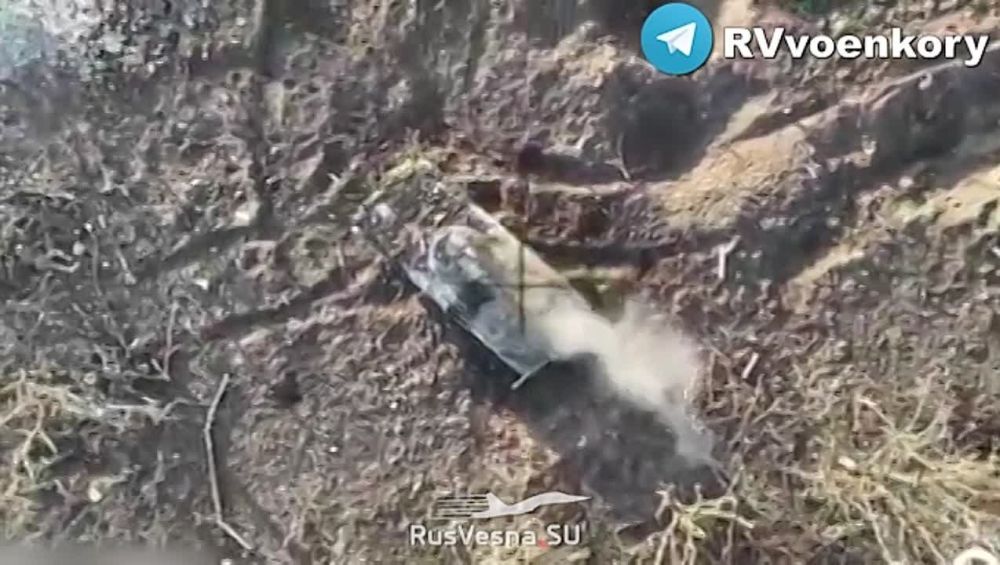 ������ ����� ����� ���� ������ � ����������� ����� - ����� ������ "������"