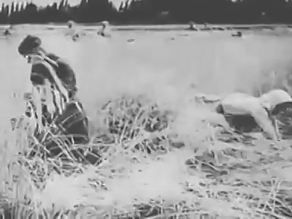 ����� �� �/� "������������" - ��������� ���