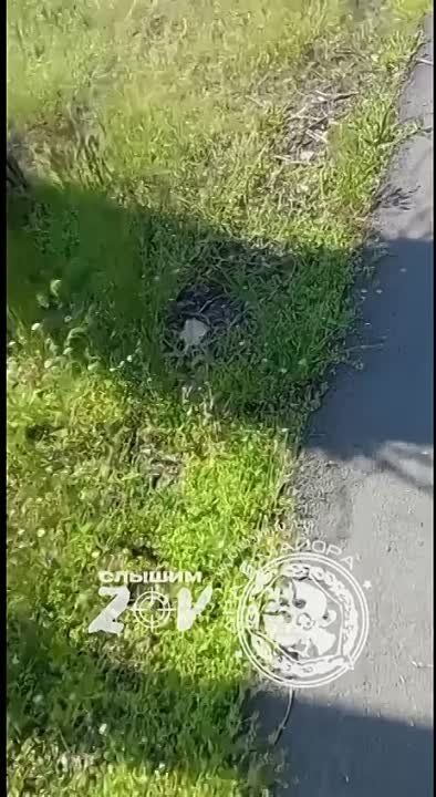 ���������� �������, ����� �������