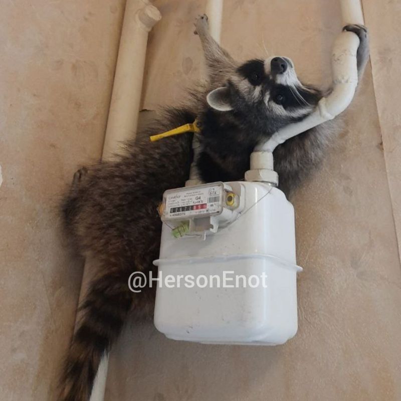 ���� �� �������: � � ��� � �������� ���, � � ���?