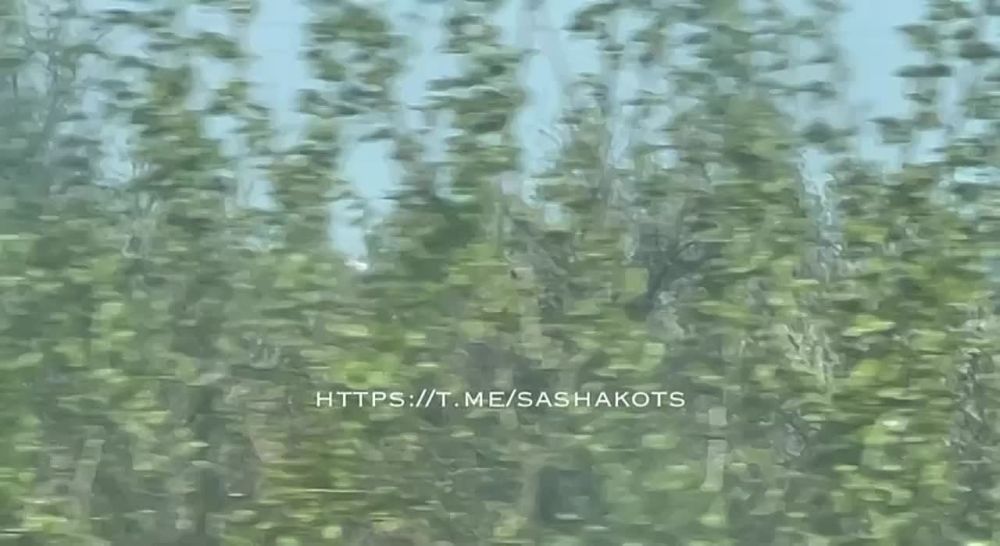 ��������� ���: ������, � �����������! ���!