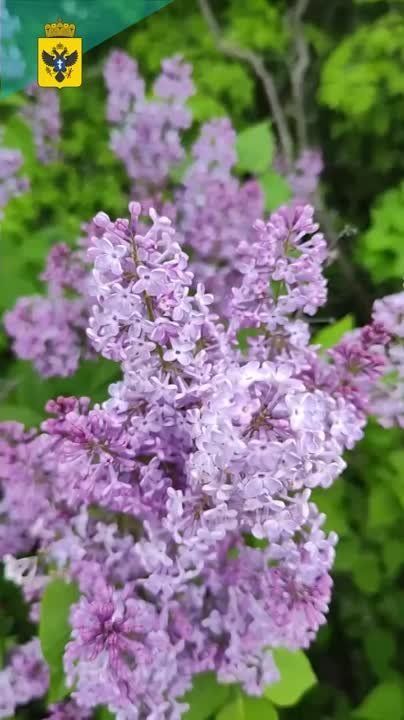 ������� ������ ���������� ������� � ����� ������ ����!