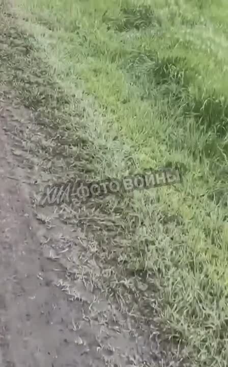 ������ ���������� ������ �� ���� � ���������� �������, ������� �� ����������