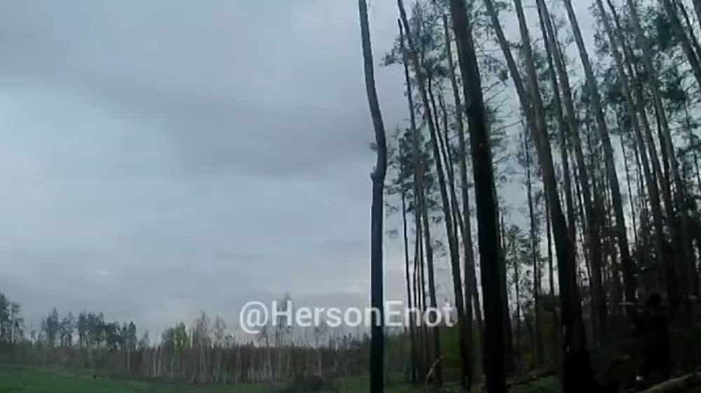 ���� �� �������: � ���������� ���� ���� ������ ���������� ��������, ��������� �������� ������� ����������