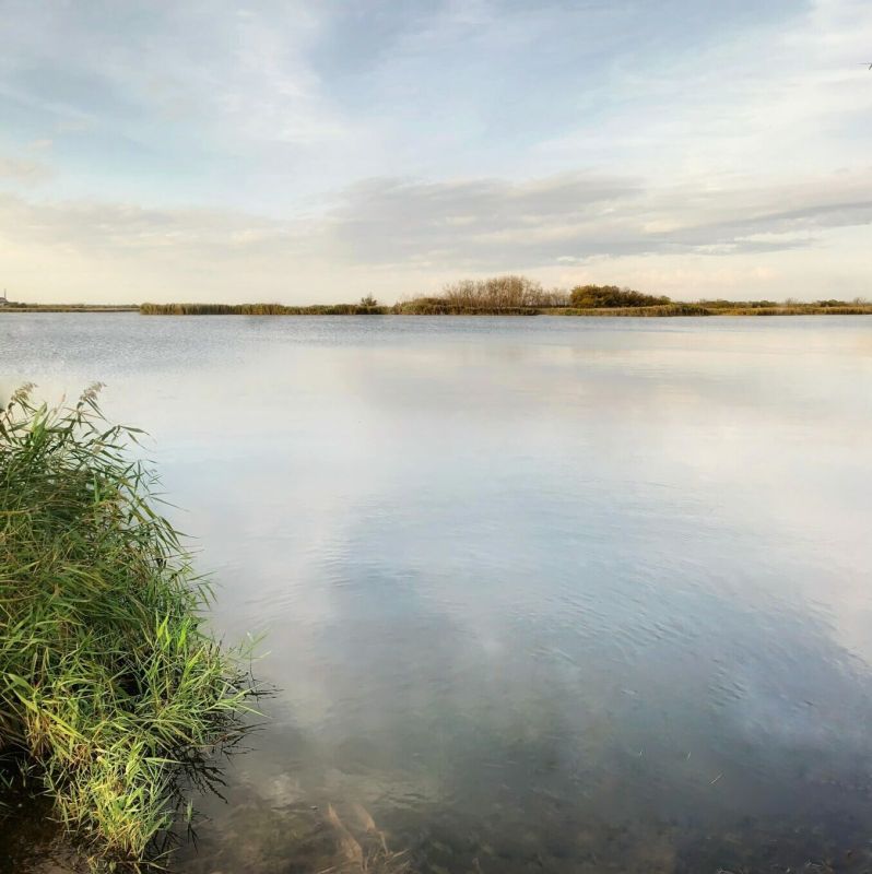 ����������� ������� ��������� ������� ��� �������� ����� ��