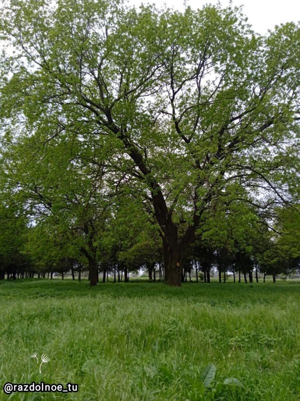 ����������! � ������ � ��������� �������� �����!