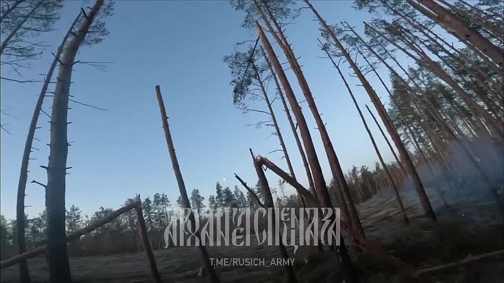 ��������� �������: � ����� �� �������� ���, ������� ����� ����� ���������� �� ���������� � ���������� �����������, ���� ���� ����� @rusich_army